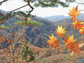 ins下载官方苹果,现状分析解释定义|CT_v4.259