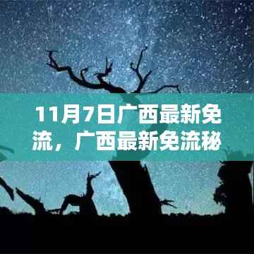 新闻中心 第388页