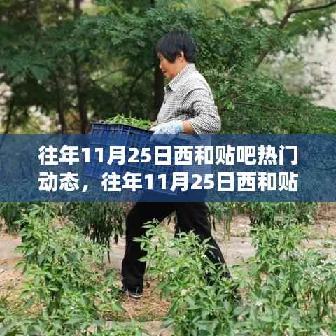 森久 第3页