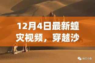初告白 第2页