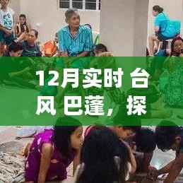 巴蓬台风下的隐秘美食，探寻小巷深处的独特风味之旅