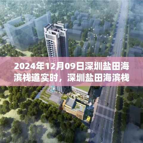 2024年12月09日深圳盐田海滨栈道游赏完美攻略与实时体验