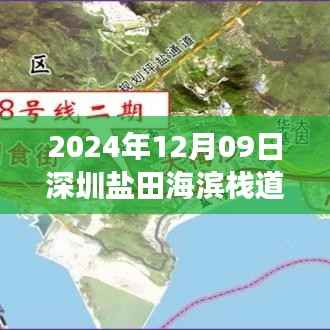 2024年12月09日深圳盐田海滨栈道游赏完美攻略与实时体验