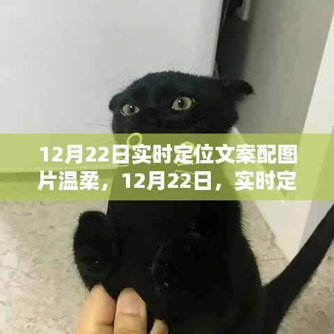 母以子贵 第3页