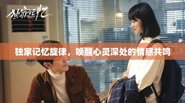 独家记忆旋律,唤醒心灵深处的情感共鸣