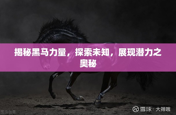揭秘黑马力量，探索未知，展现潜力之奥秘