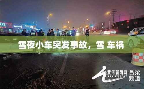 雪夜小车突发事故,雪 车祸