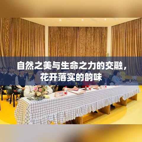 自然之美与生命之力的交融,花开落实的韵味
