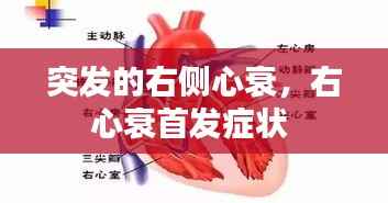 突发的右侧心衰,右心衰首发症状