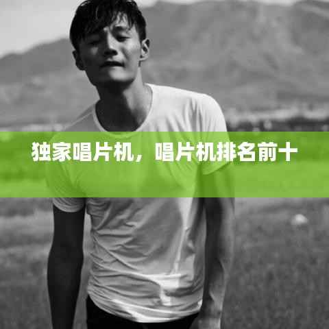 独家唱片机,唱片机排名前十