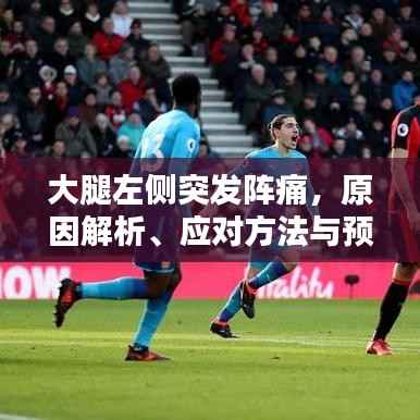 大腿左侧突发阵痛,原因解析、应对方法与预防措施