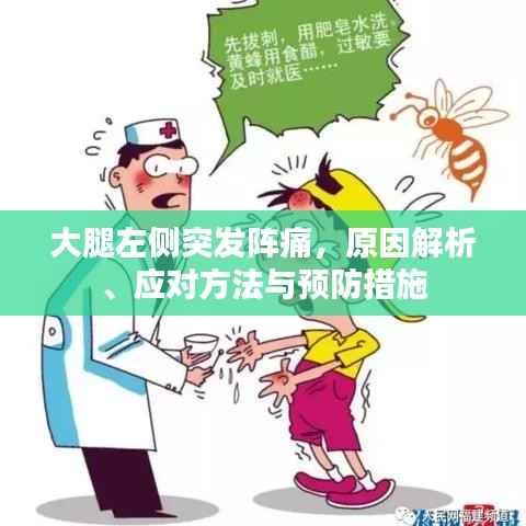 大腿左侧突发阵痛,原因解析、应对方法与预防措施