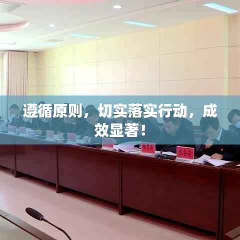 遵循原则,切实落实行动,成效显著!