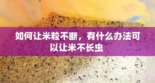 如何让米粒不断,有什么办法可以让米不长虫