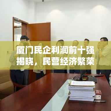 厦门民企利润前十强揭晓,民营经济繁荣面貌大揭秘