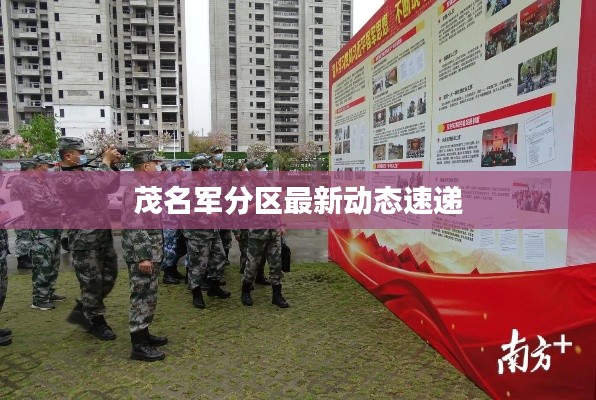 茂名军分区最新动态速递