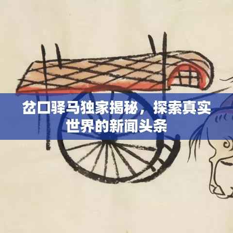 岔口驿马独家揭秘,探索真实世界的新闻头条