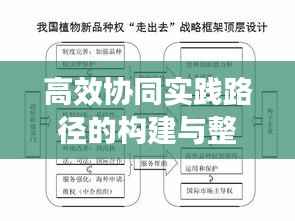 高效协同实践路径的构建与整体联动落实策略