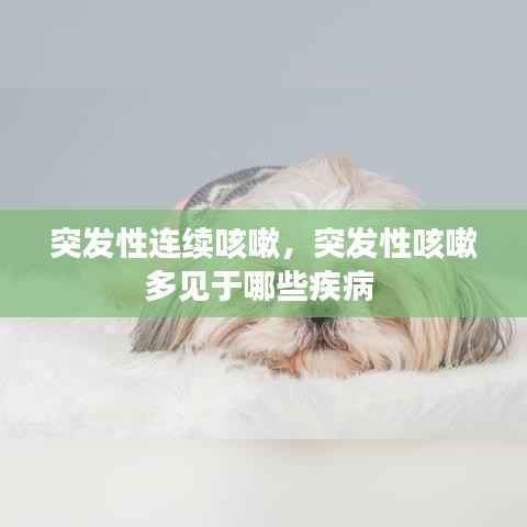 突发性连续咳嗽,突发性咳嗽多见于哪些疾病