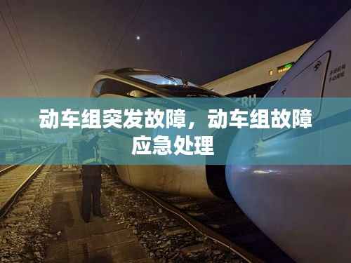 动车组突发故障,动车组故障应急处理