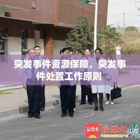 突发事件资源保障,突发事件处置工作原则