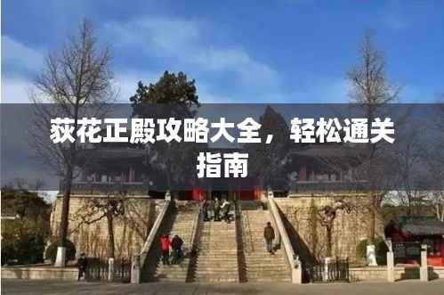 荻花正殿攻略大全,轻松通关指南