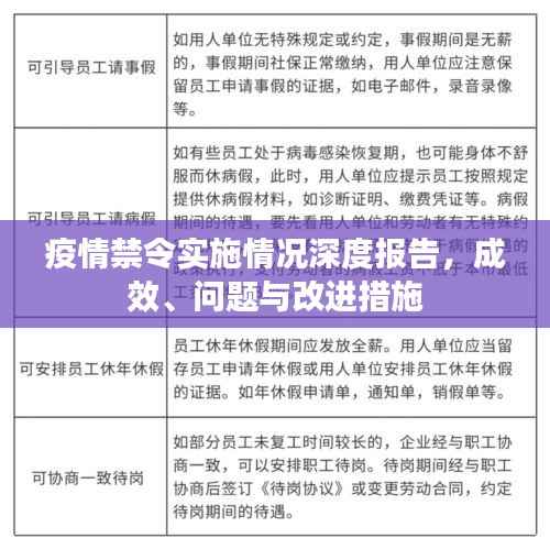 疫情禁令实施情况深度报告,成效、问题与改进措施