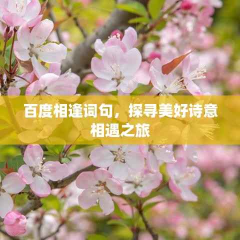 百度相逢词句,探寻美好诗意相遇之旅