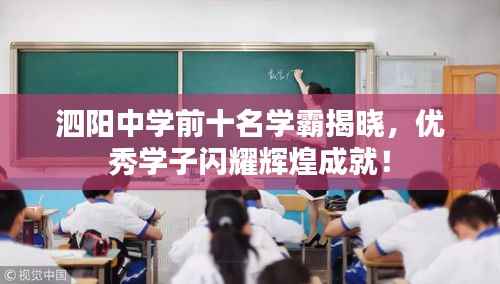 泗阳中学前十名学霸揭晓,优秀学子闪耀辉煌成就!
