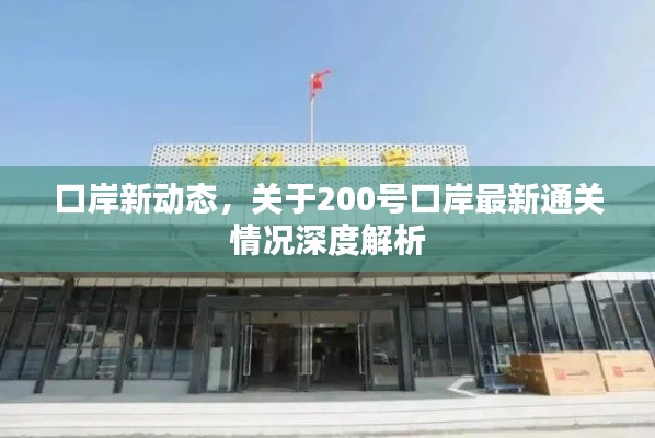 口岸新动态,关于200号口岸最新通关情况深度解析