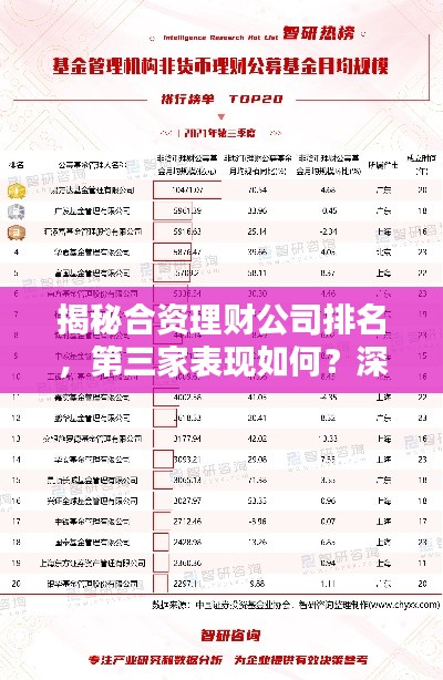 揭秘合资理财公司排名,第三家表现如何?深度解析!