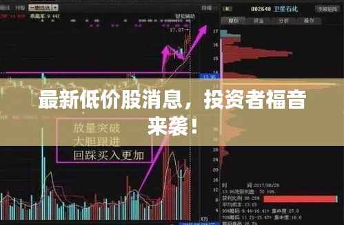 最新低价股消息,投资者福音来袭!