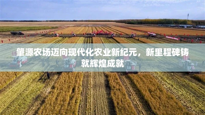 肇源农场迈向现代化农业新纪元,新里程碑铸就辉煌成就