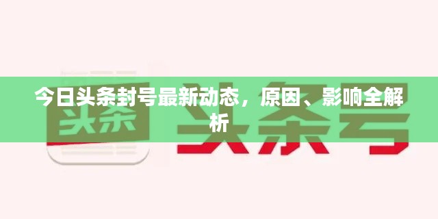今日头条封号最新动态,原因、影响全解析