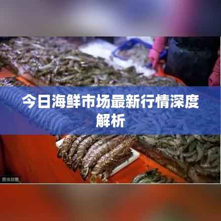 今日海鲜市场最新行情深度解析