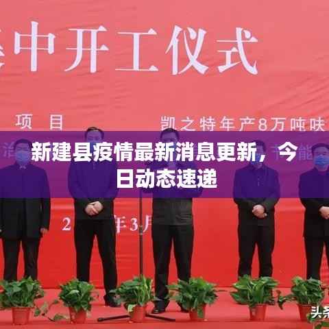 新建县疫情最新消息更新,今日动态速递