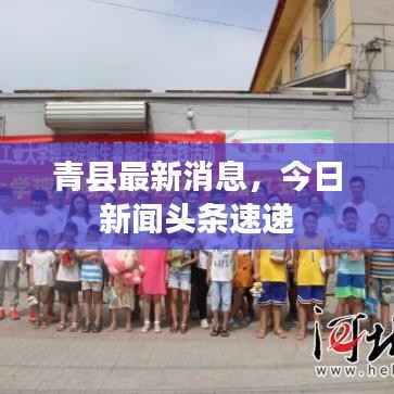 青县最新消息,今日新闻头条速递