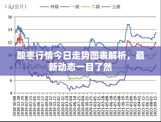 酸枣行情今日走势图表解析,最新动态一目了然