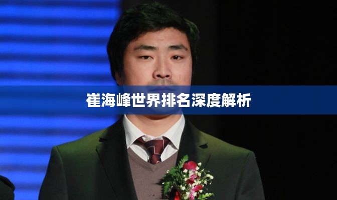 崔海峰世界排名深度解析