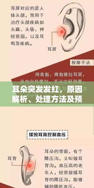 耳朵突发发红,原因解析、处理方法及预防措施