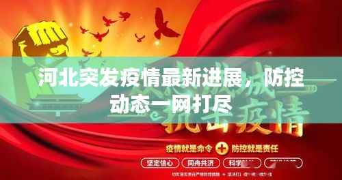 河北突发疫情最新进展,防控动态一网打尽