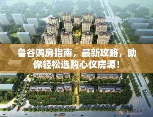 鲁谷购房指南,最新攻略,助你轻松选购心仪房源!