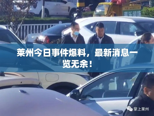 莱州今日事件爆料,最新消息一览无余!