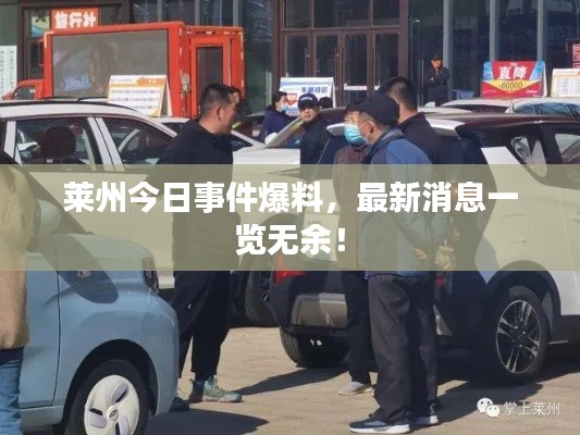 莱州今日事件爆料,最新消息一览无余!