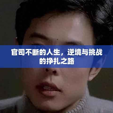 官司不断的人生，逆境与挑战的挣扎之路