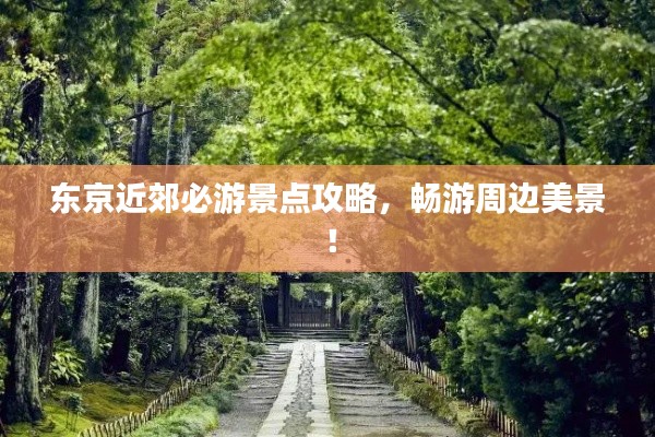东京近郊必游景点攻略,畅游周边美景!