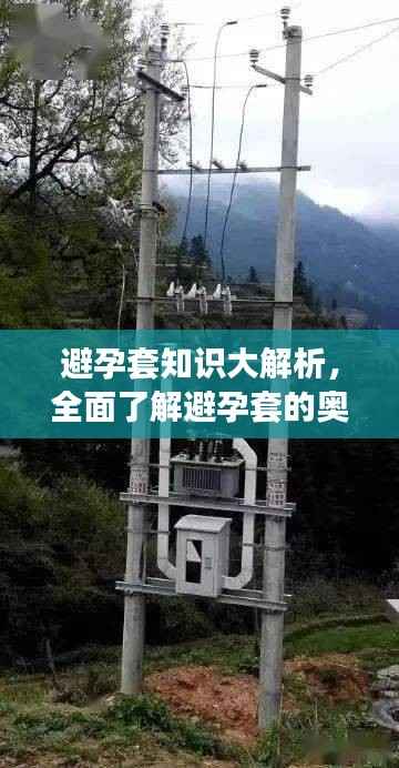 避孕套知识大解析,全面了解避孕套的奥秘