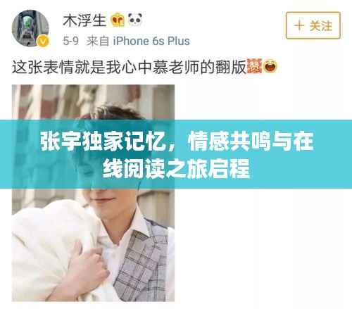 张宇独家记忆,情感共鸣与在线阅读之旅启程