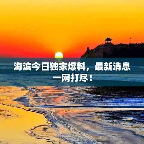 海滨今日独家爆料,最新消息一网打尽!