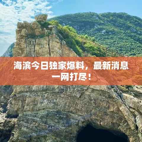 海滨今日独家爆料,最新消息一网打尽!